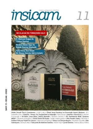 İnsicam Dergisi 11. Sayı