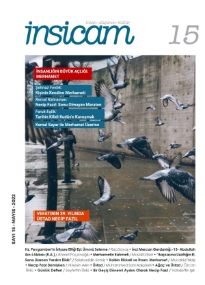 İnsicam Dergisi 15. Sayı