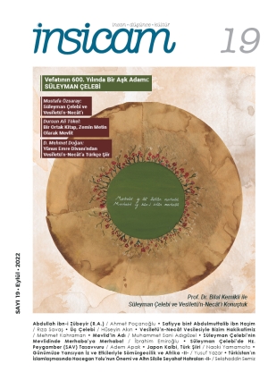 İnsicam Dergisi 19. Sayı
