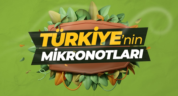 Türkiye'nin Mikronotları Projesi Başladı